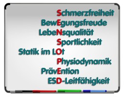 sensoped profi einlage sensomotorische regensburg flipchart schmerzfreiheit bewegungsfreude esd 