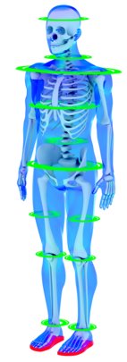 image of blue skeleton sensomotorische einlage sensoped